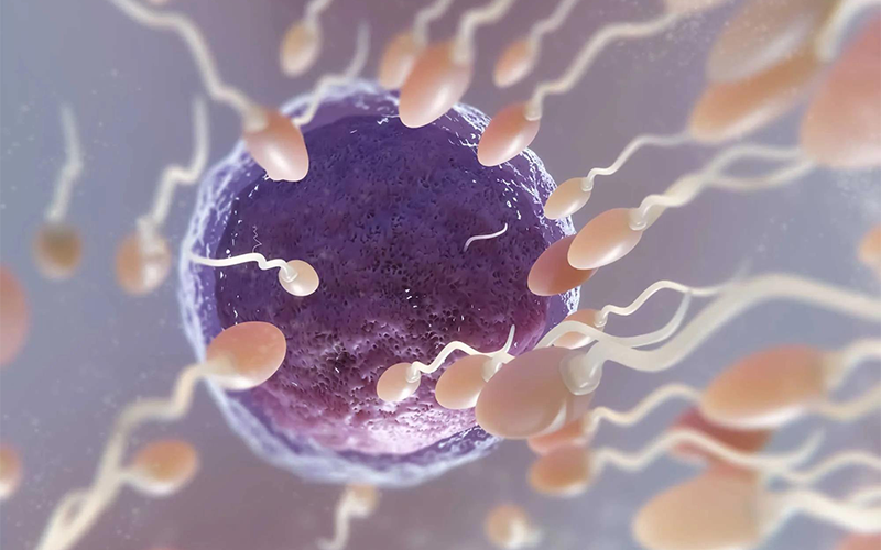 Male Infertility: Causes, Tests, and Treatment Options